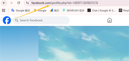 facebook profile link קישור פרופיל פייסבוק